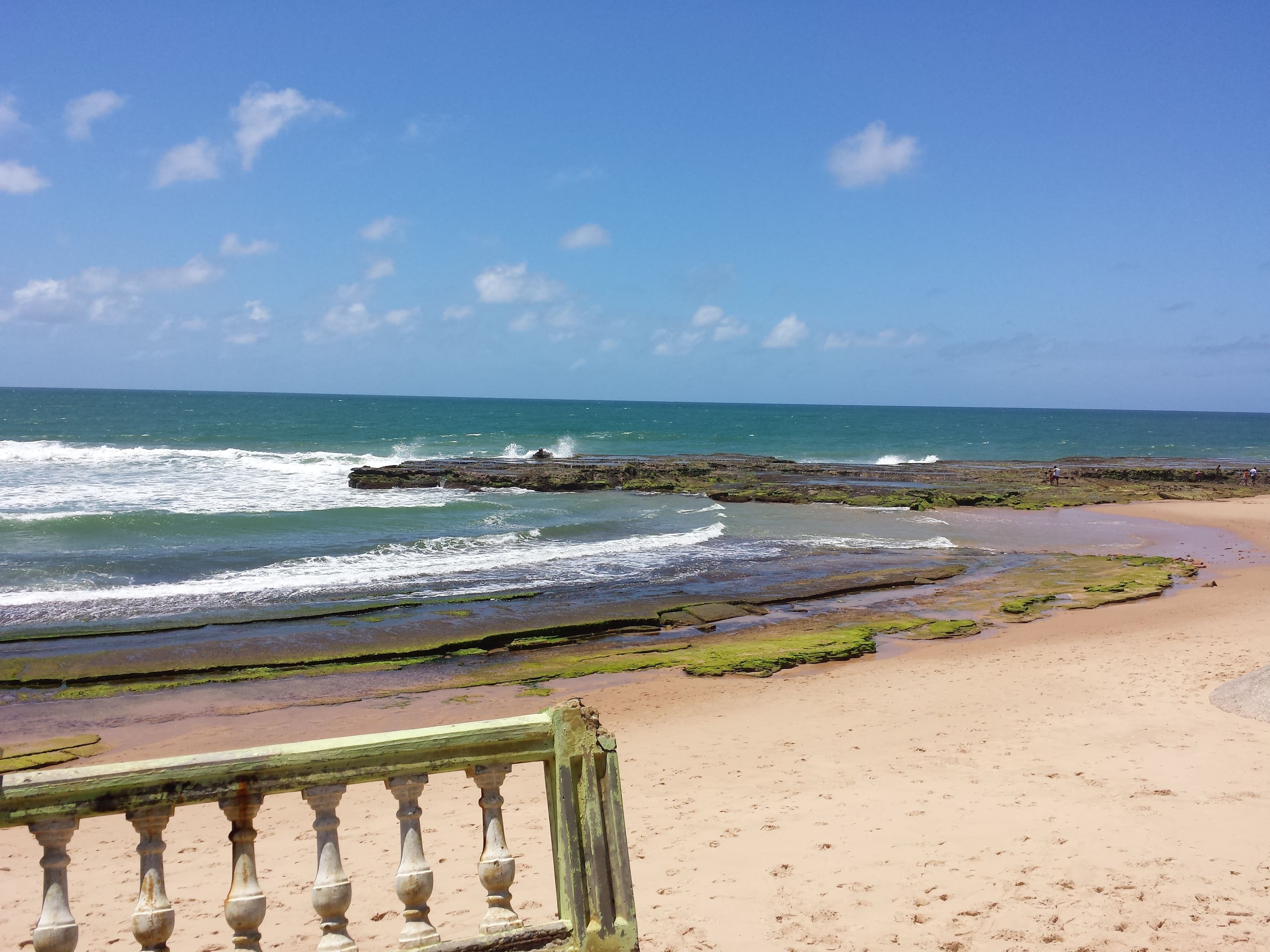 Article Verão no litoral norte da Bahia thumbnail image