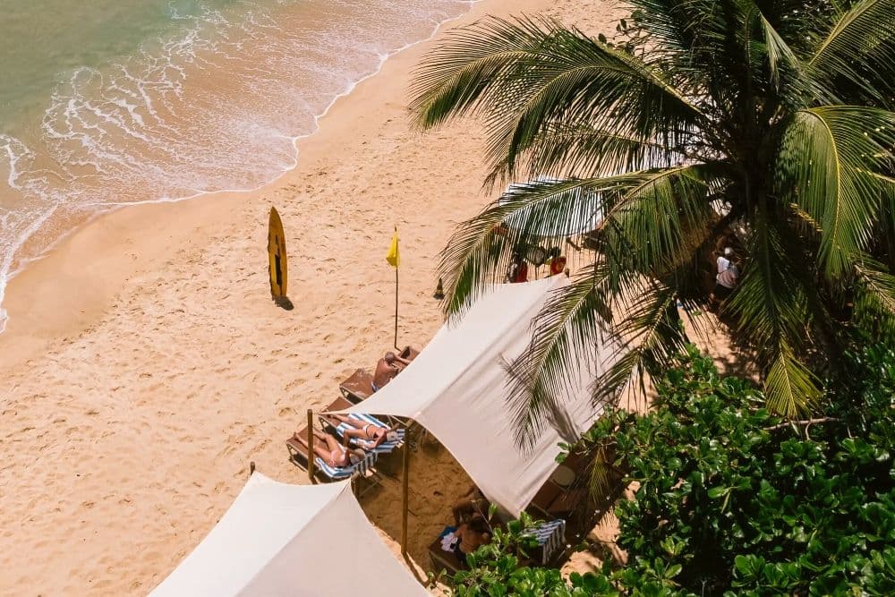 Article Por que os beach clubs fazem tanto sucesso no Brasil e no mundo? thumbnail image