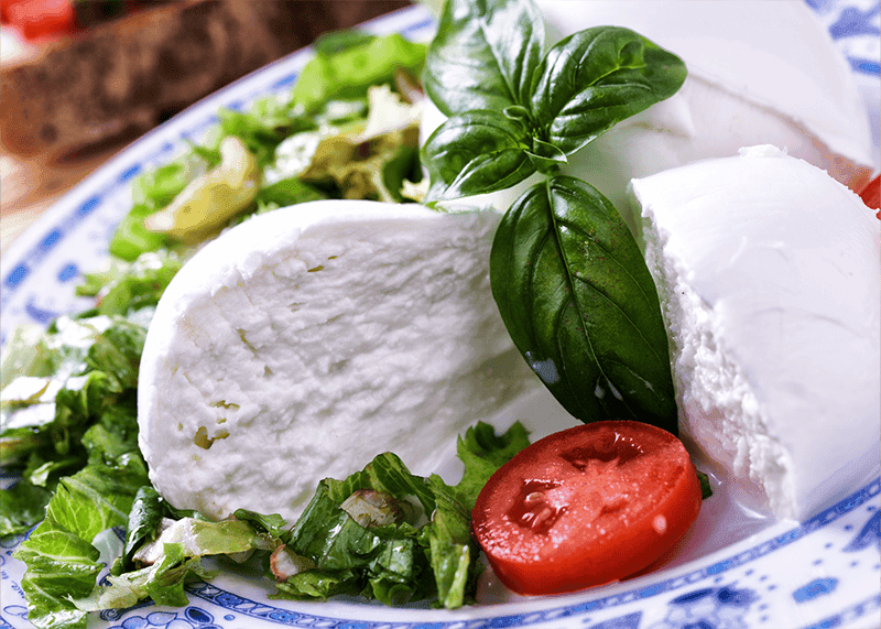 Article Leite de búfala: tradição, nutrição e novas possibilidades na alimentação funcional thumbnail