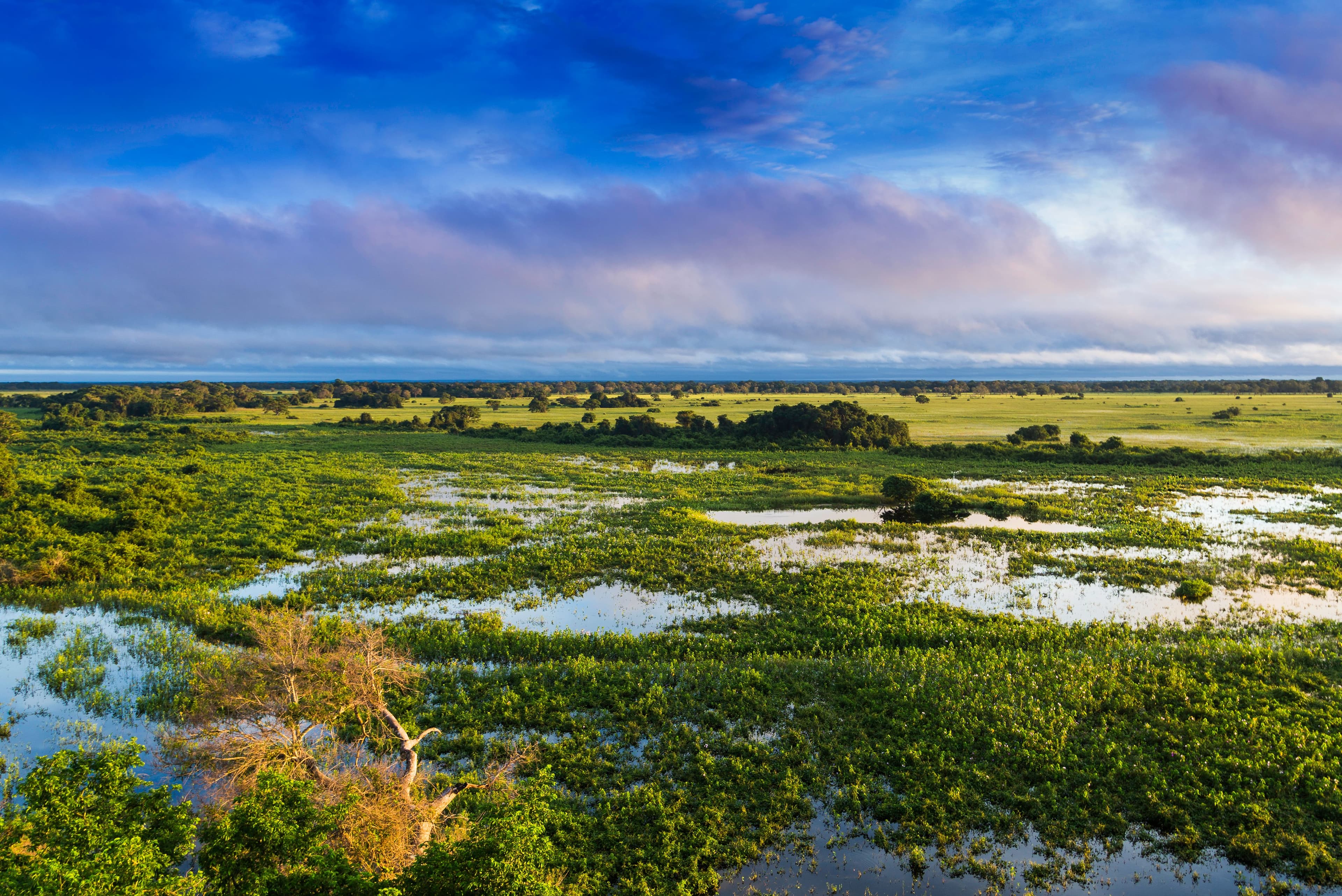Imagem do artigo: Ecoturismo no Brasil: três destinos sustentáveis para entrar em contato com a natureza e saborear a gastronomia local