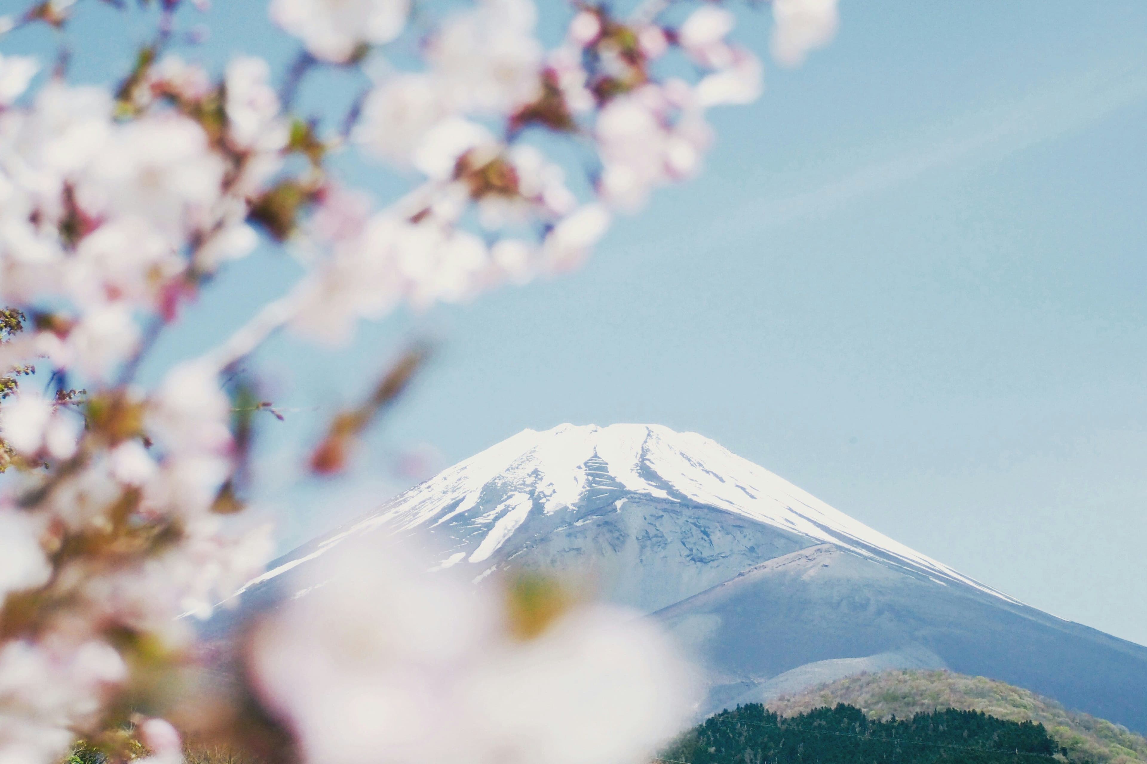 Imagem do artigo: Natureza, espiritualidade e tradição: isso é o que você vai encontrar no Japão